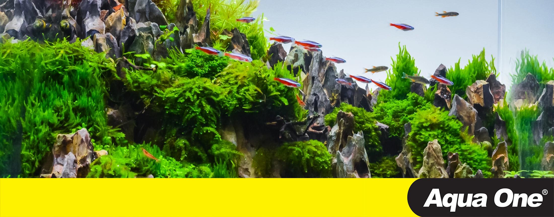 Maxi Internal Filter